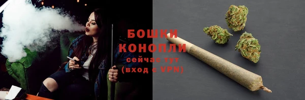 амф Арсеньев