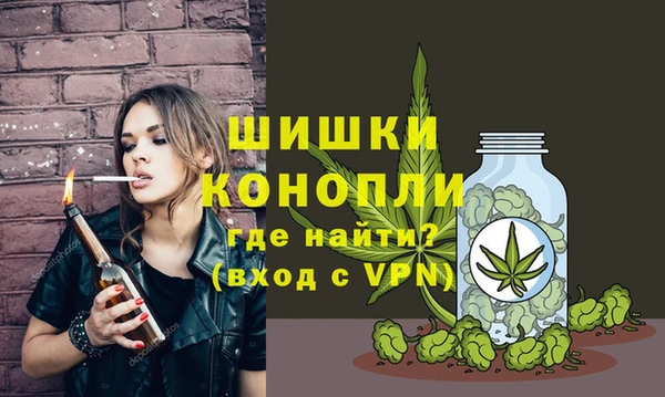 амф Арсеньев