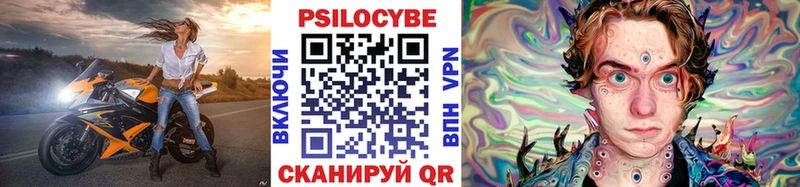 Псилоцибиновые грибы Psilocybe  даркнет сайт  Бологое 